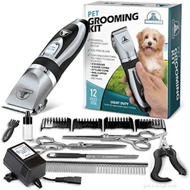 Prime Day 2021: Exclusive Deals on Premium Dog Products