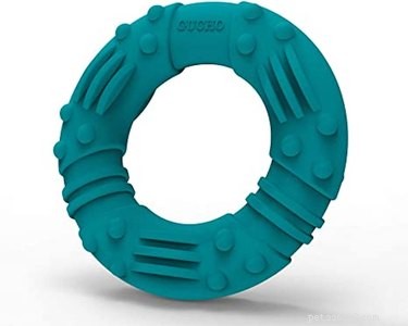 Prime Day 2021: Exclusive Deals on Premium Dog Products