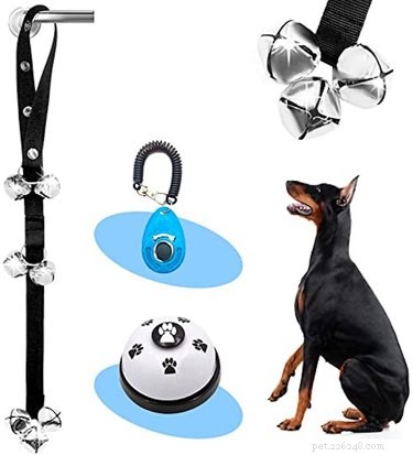 Prime Day 2021: Exclusive Deals on Premium Dog Products