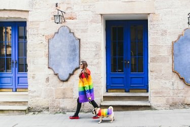 Bringing Your Dog to Pride: What You Need to Know