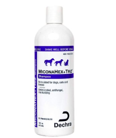Top Dog Shampoos Recommended by Professional Groomers