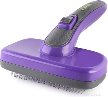 Essential Grooming Tools for Your New Dog: A Complete Starter Guide