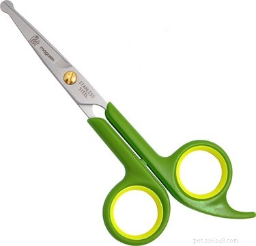 Essential Grooming Tools for Your New Dog: A Complete Starter Guide
