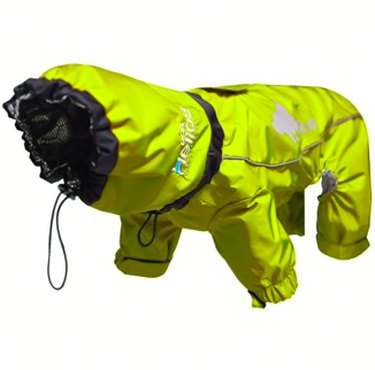 8 Essential Winter Gear Items Every Dog Needs