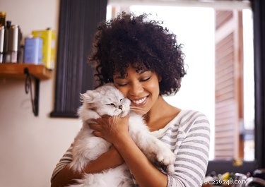 Science Explains Why Some People Prefer Dogs Over Cats