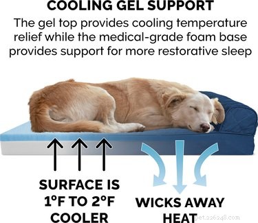 Find the Perfect Bed for Your Dog: Top Picks for Every Sleeping Style