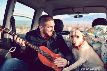 Do Dogs Really Enjoy Your Singing? Find Out the Truth