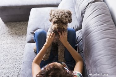 Do Dogs Really Enjoy Your Singing? Find Out the Truth