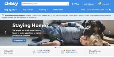 Top 6 Trusted Online Stores for Premium Dog Supplies (Beyond Amazon)