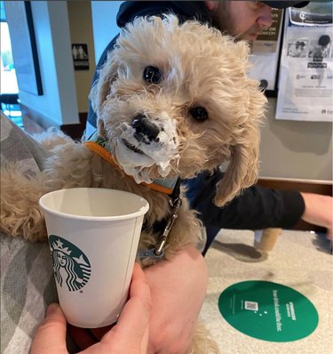 6 Unexpected Stores That Welcome Your Dog Inside