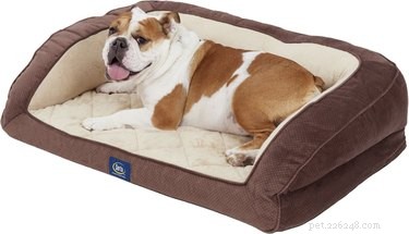 Top 6 Orthopedic Beds for Senior Dogs: Comfort & Support
