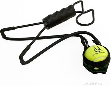 Top 8 Outdoor Dog Toys for Ultimate Fun & Safety