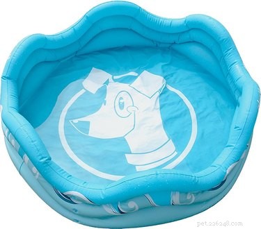 Top 8 Outdoor Dog Toys for Ultimate Fun & Safety