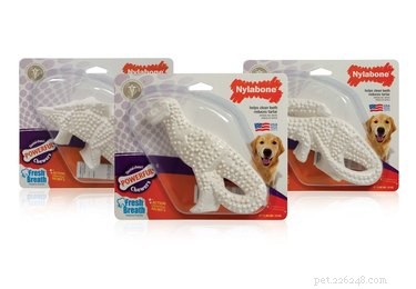 Top 7 Durable Dog Toys for Hard Chewers