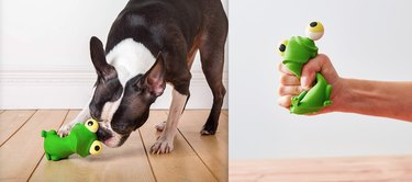 Top 7 Durable Dog Toys for Hard Chewers