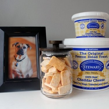 Top 7 Best‑Reviewed Dog Treats for Your Furry Friend