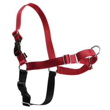 Top 8 Harnesses for Large Dogs: Comfort, Control, and Safety