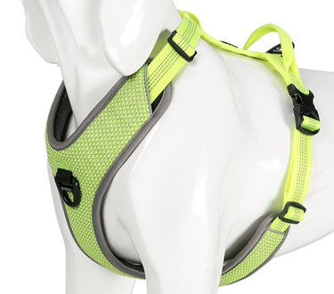Top 8 Harnesses for Large Dogs: Comfort, Control, and Safety