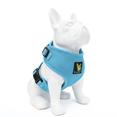 Top 8 Small‑Dog Harnesses for Comfort & Control