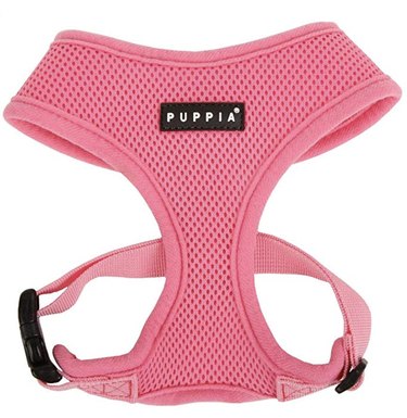 Top 8 Small‑Dog Harnesses for Comfort & Control