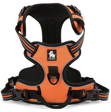 Top 8 Small‑Dog Harnesses for Comfort & Control