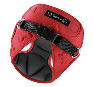 Top 8 Small‑Dog Harnesses for Comfort & Control