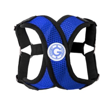 Top 8 Small‑Dog Harnesses for Comfort & Control