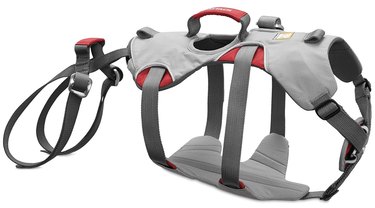 Top 8 Small‑Dog Harnesses for Comfort & Control