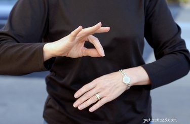 Teaching Dogs Sign Language: How to Communicate with Your Canine Companion