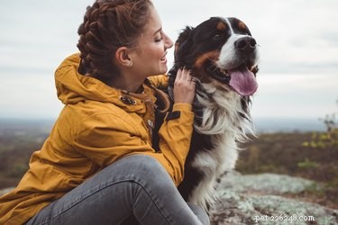 Can Your Dog Learn Multiple Languages? Insights & Tips
