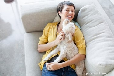 The Healing Power of Petting Your Dog: How It Relieves Stress and Boosts Well-Being