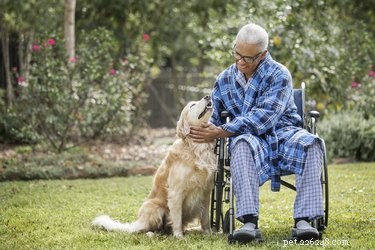 The Healing Power of Petting Your Dog: How It Relieves Stress and Boosts Well-Being