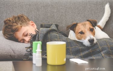How Dogs Detect Illness: The Science Behind Their Incredible Senses