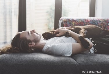 How Dogs Detect Illness: The Science Behind Their Incredible Senses