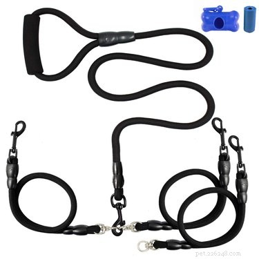 Top 5 Multi‑Dog Leashes of 2019: Safe, Durable, and Easy to Use