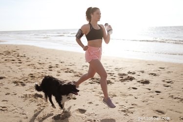 New Study Shows Dog Owners Get More Exercise and Healthier Lifestyles