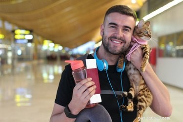 Service, Therapy, and Emotional Support Dogs: Key Differences Explained