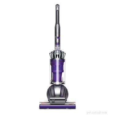 Top Vacuums for Pet Hair: Keep Your Home Clean & Furry-Free