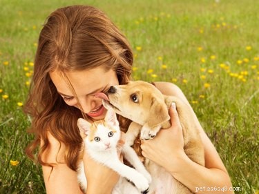 Do Pets Feel Jealous of Your Phone? Expert Insights