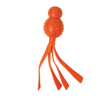 12 Must-Have Toys for Small Dogs: Fun, Durable, and Rewarding