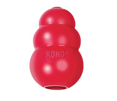 12 Must-Have Toys for Small Dogs: Fun, Durable, and Rewarding
