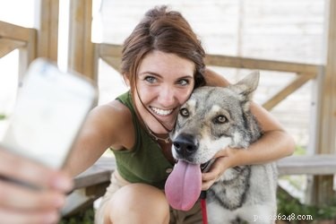 Do Dogs Realize When You Snap a Photo? Insights & Tips