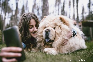 Do Dogs Realize When You Snap a Photo? Insights & Tips