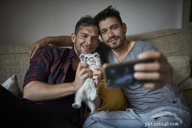 Is FaceTiming Your Pet Worth It? What You Need to Know