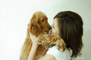 Why Your Dog Loves to Sniff You — Insights into Their Powerful Nose