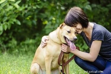 Why Your Dog Loves to Sniff You — Insights into Their Powerful Nose