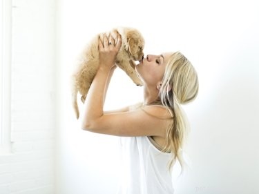 Wild vs. Domestic Dogs: Key Differences Explained