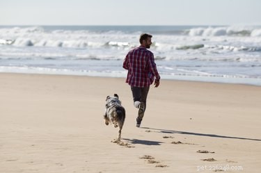 Top Dog-Friendly Games to Strengthen Bond & Keep Your Pup Active