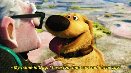 17 Things Your Dog Would Say If They Could Speak