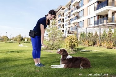 Safely Introducing Your Dog to Your New Baby: A Step-by-Step Guide